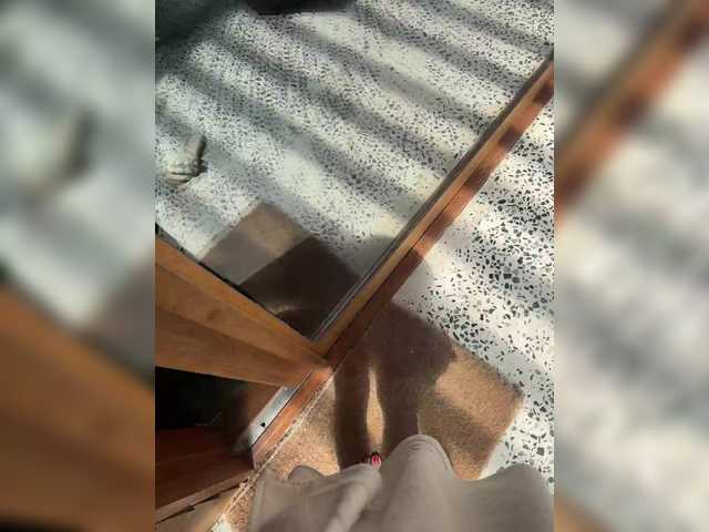 aniram2221