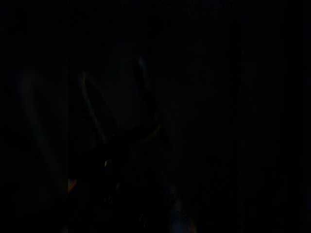 aniram2221 Live Cam su BongaCams