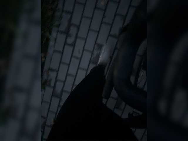 aniram2221 live webcam show
