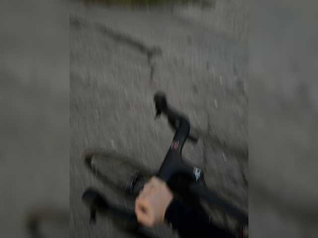 aniram2221