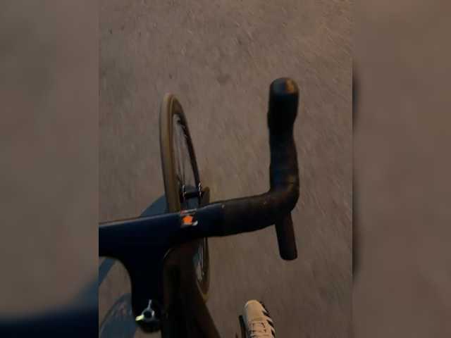 aniram2221