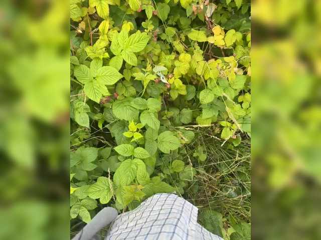 aniram2221 cam belle