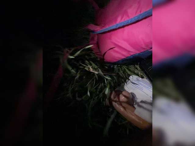video aniram2221