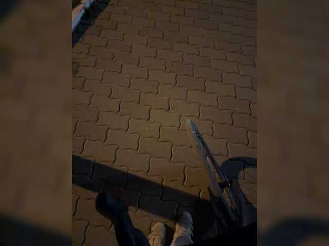 aniram2221