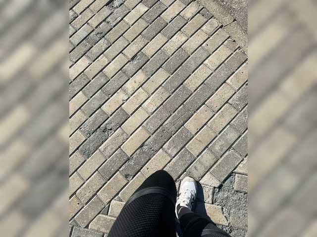 aniram2221