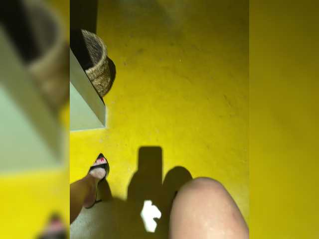 aniram2221 live cam