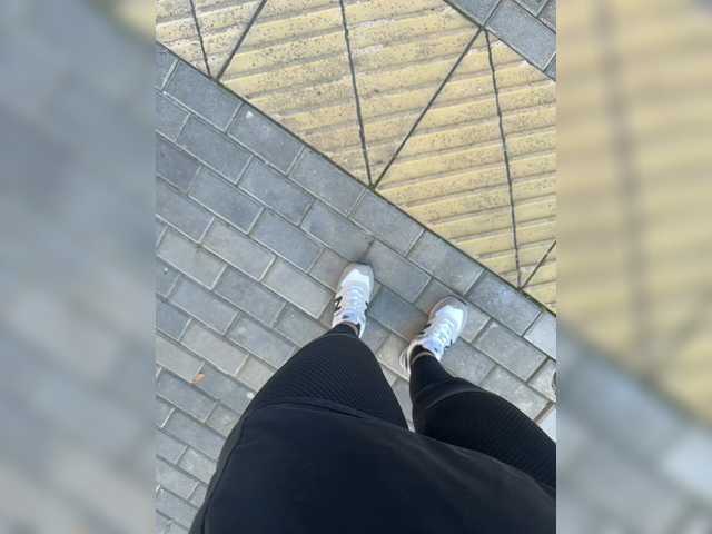 aniram2221