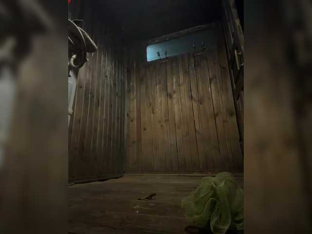 aniram2221