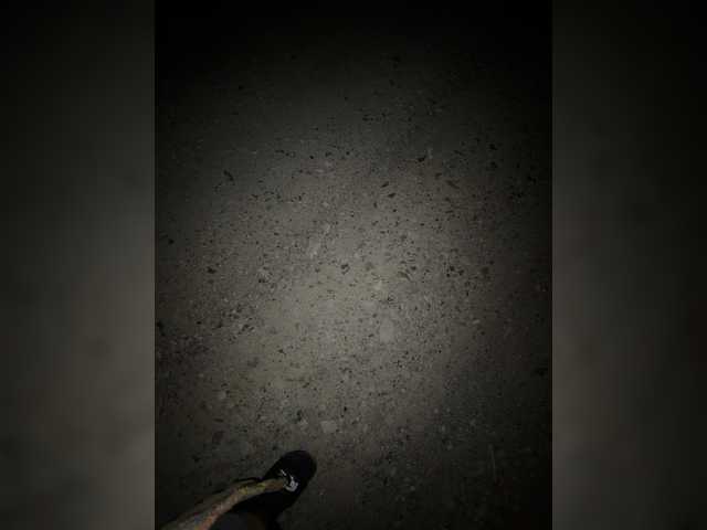 aniram2221