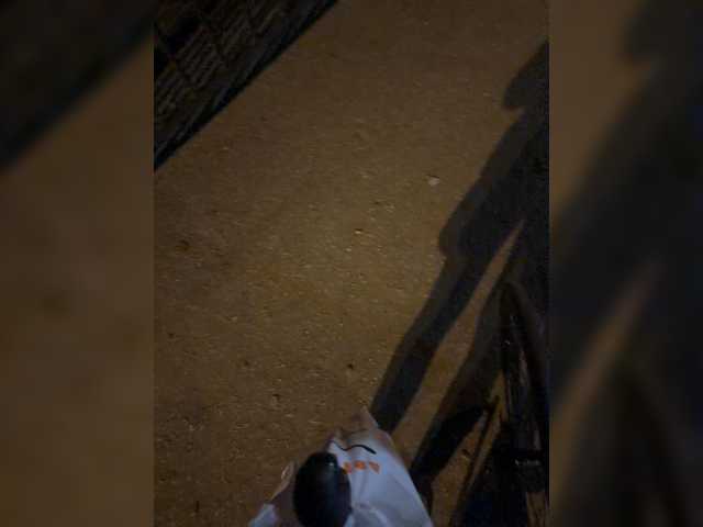 aniram2221