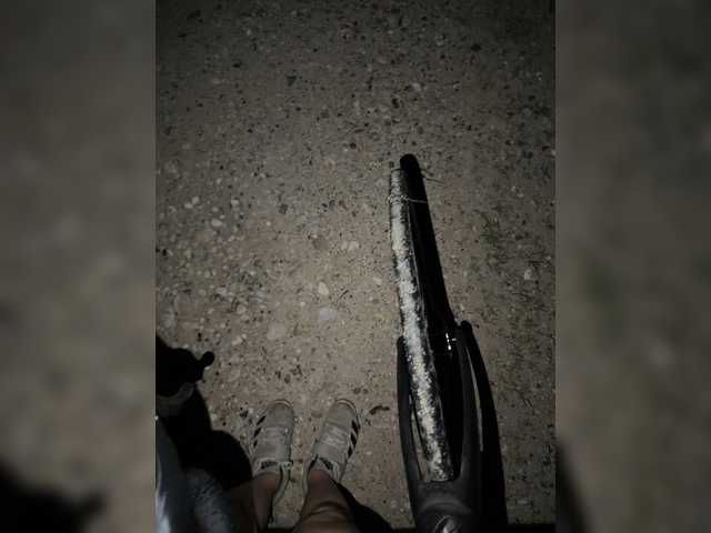 aniram2221
