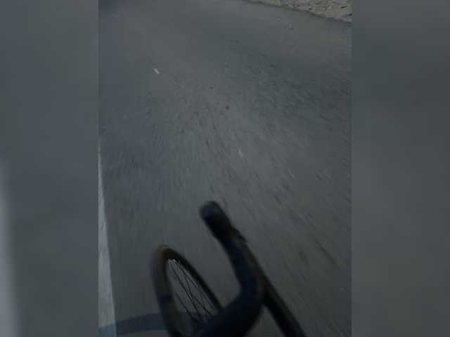 aniram2221