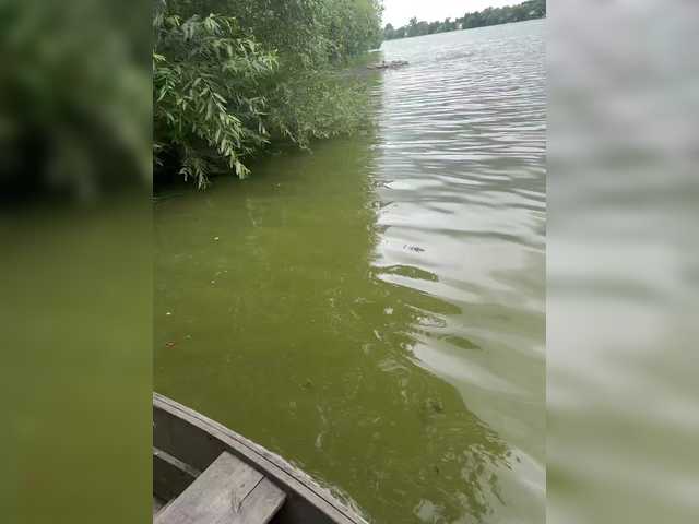 aniram2221 cam belle