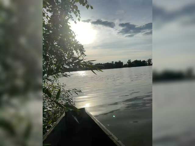 Aniram2221