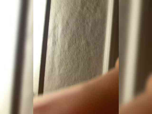 aniram2221 Sex Cam Show