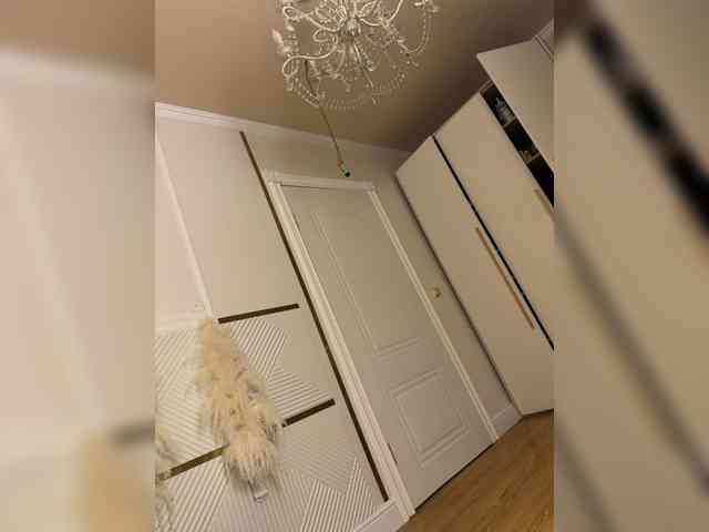 Ekaterina2221 webcam