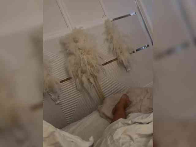 aniram2221 Sex Cam Show