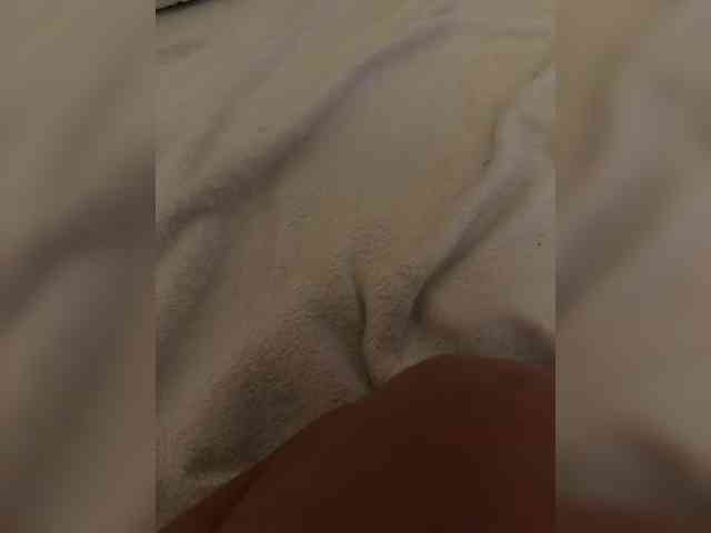 aniram2221
