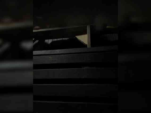 Ekaterina2221 webcam