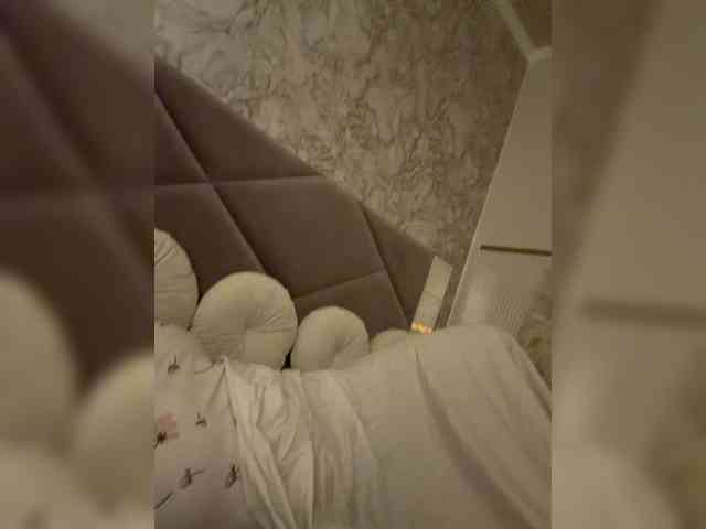 aniram2221 aniram2221
