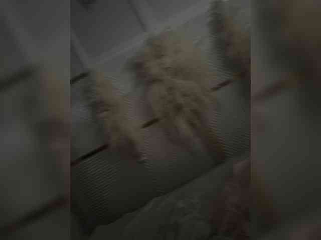 Ekaterina2221 webcam