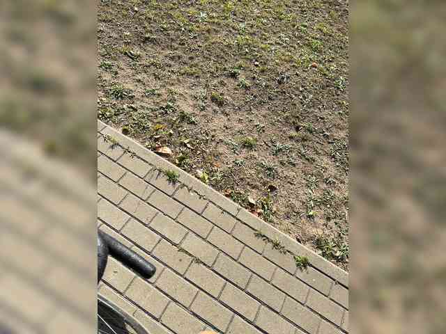 Ekaterina2221 webcam