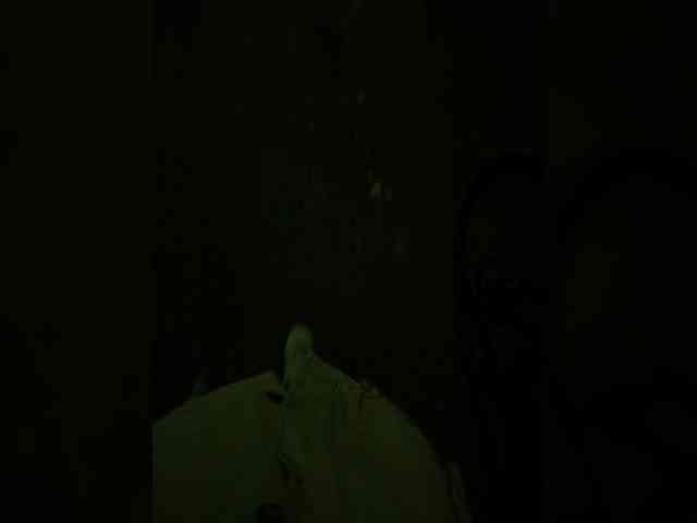 Ekaterina2221 webcam