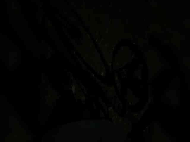 Ekaterina2221 webcam