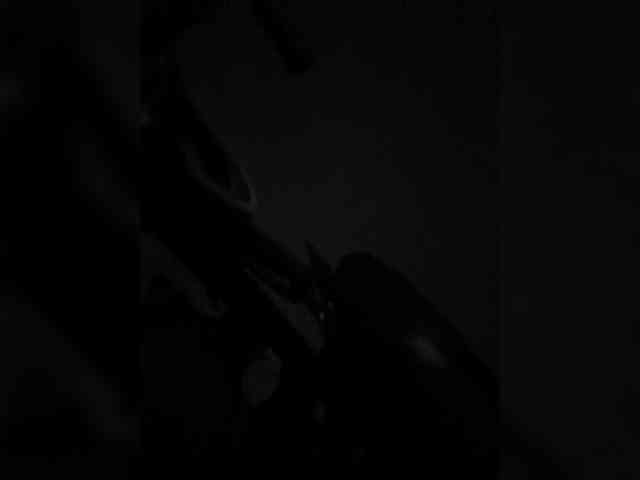 Ekaterina2221 webcam