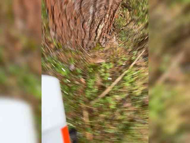 Ekaterina2221 webcam