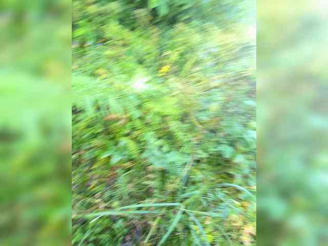 aniram2221 Live Webcam on BongaCams