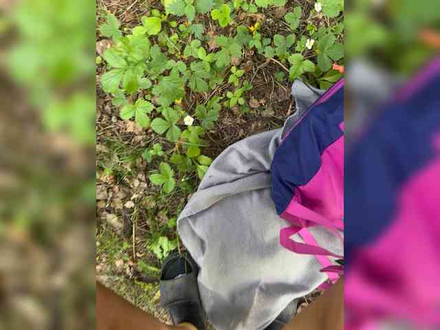 Ekaterina2221 webcam