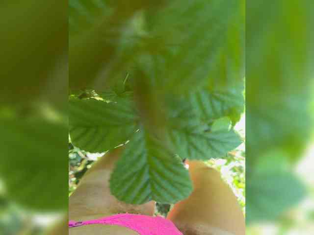 aniram2221 Sex Cam Show