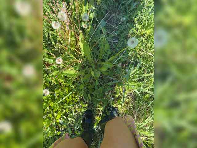 Ekaterina2221 webcam