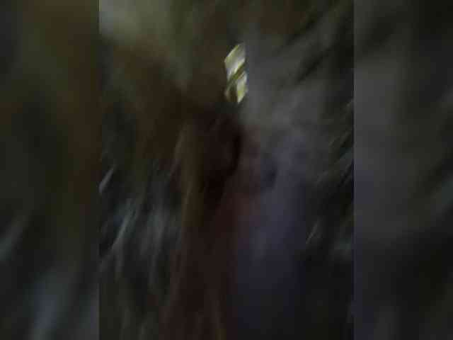 Ekaterina2221 webcam