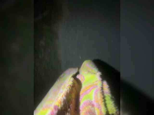 Ekaterina2221 webcam