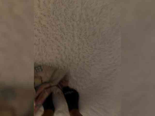 Ekaterina2221 webcam
