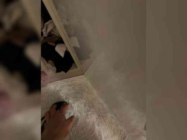 Ekaterina2221 webcam