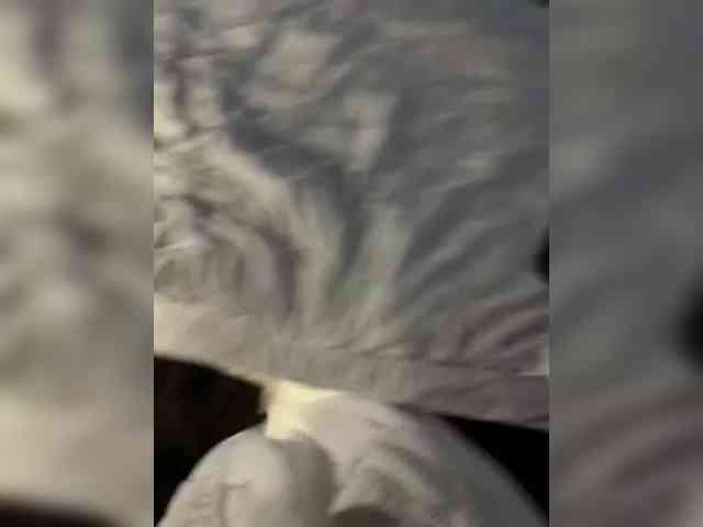 Ekaterina2221 webcam
