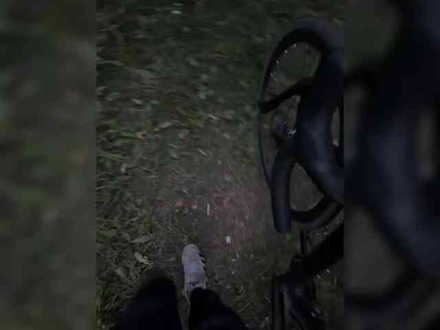 aniram2221 — All live cam