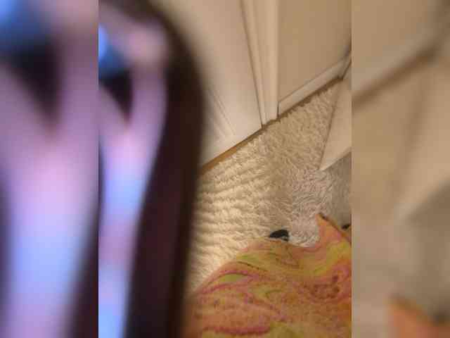 Ekaterina2221 webcam