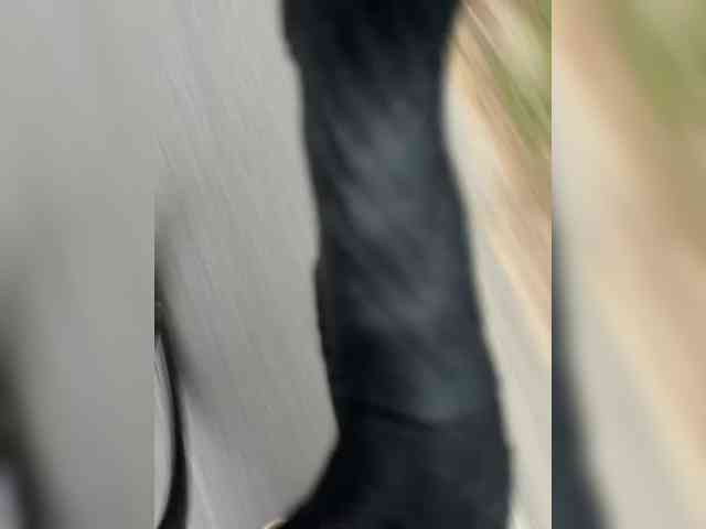 Ekaterina2221 webcam