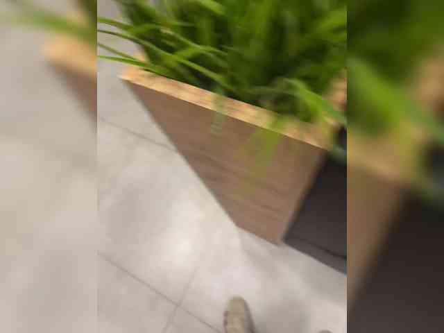 aniram2221