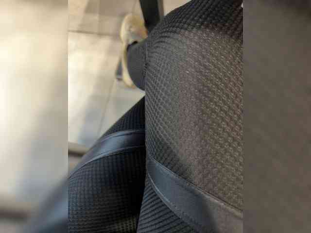 aniram2221