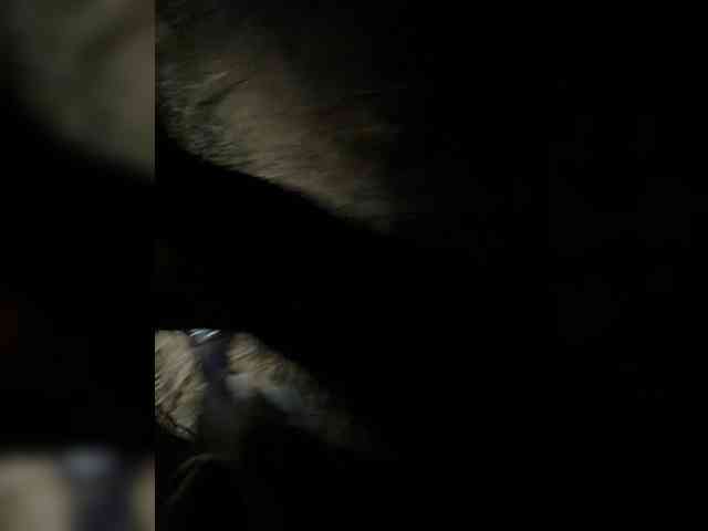 Ekaterina2221 webcam