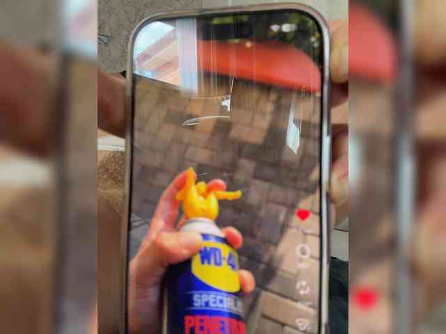 aniram2221 aniram2221