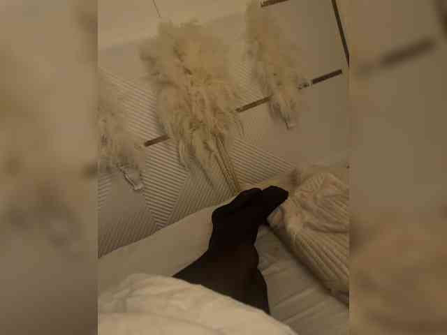 aniram2221 Sex Cam Show