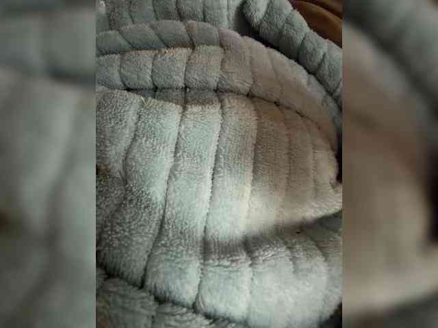 aniram2221