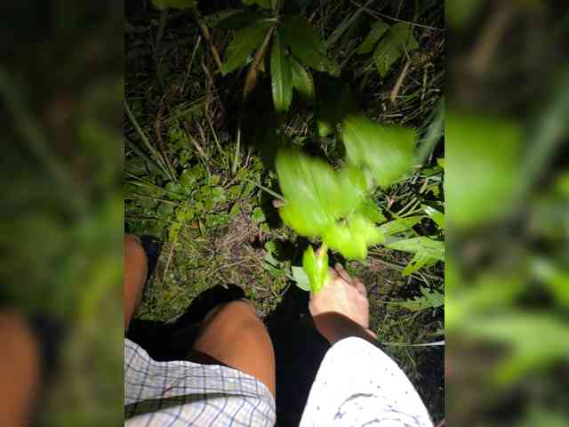 aniram2221 Sex Cam Show