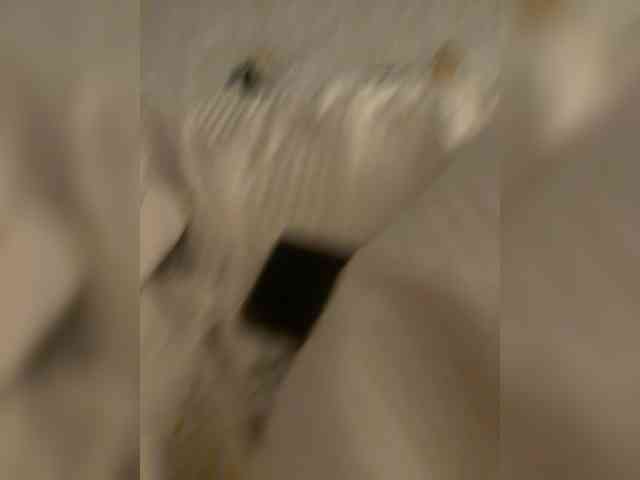 Ekaterina2221 webcam